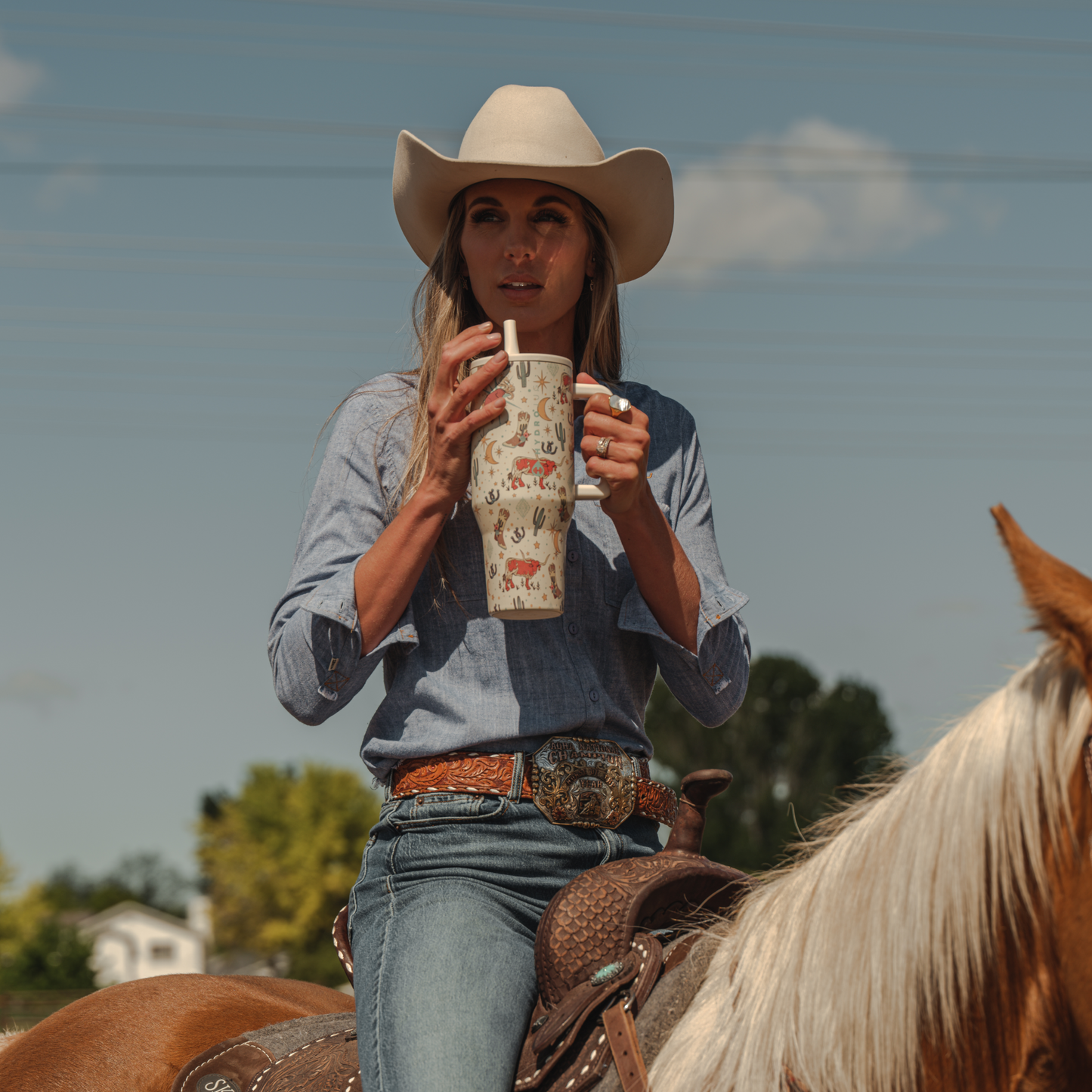 rodeo-c8 TRVL-Rodeo-6WPI.png