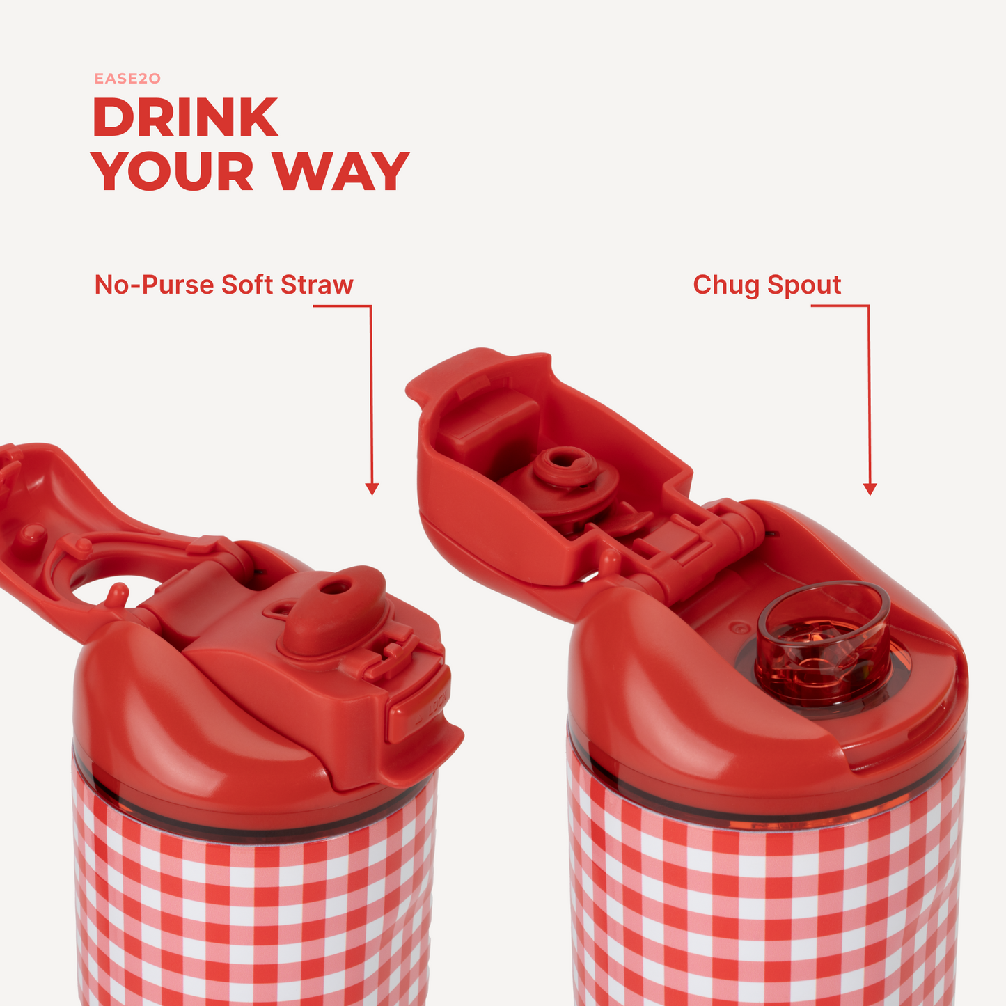 summer-picnic-r3 Ease14-SummerPicnic-3WPI.png