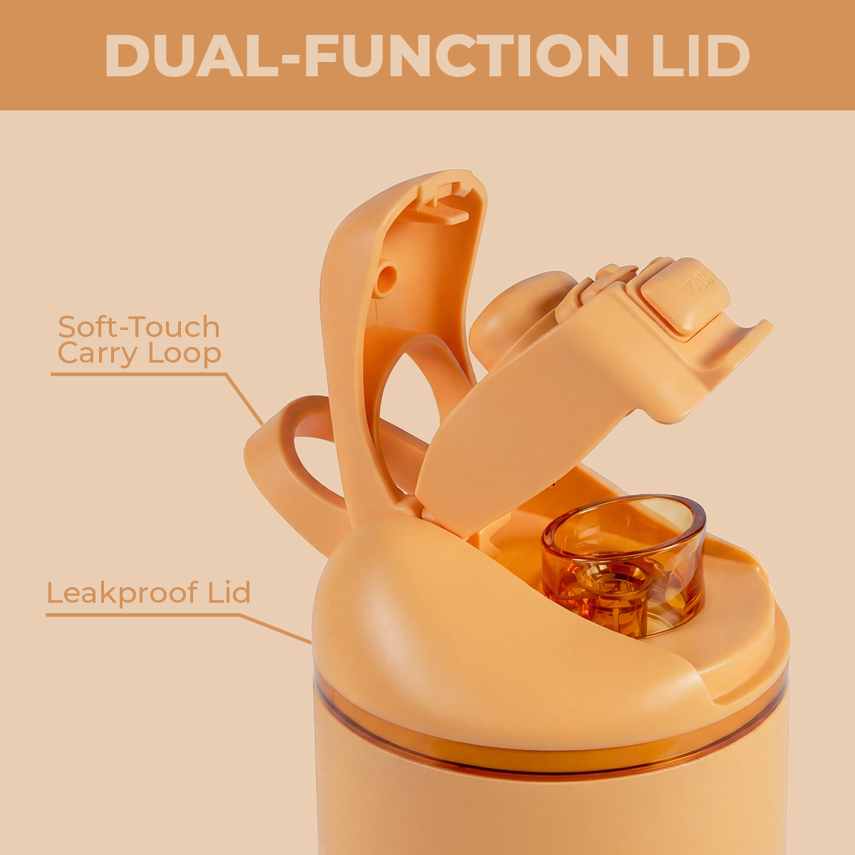 marigold-u1 Ease24-Marigold-WPI-6.png
