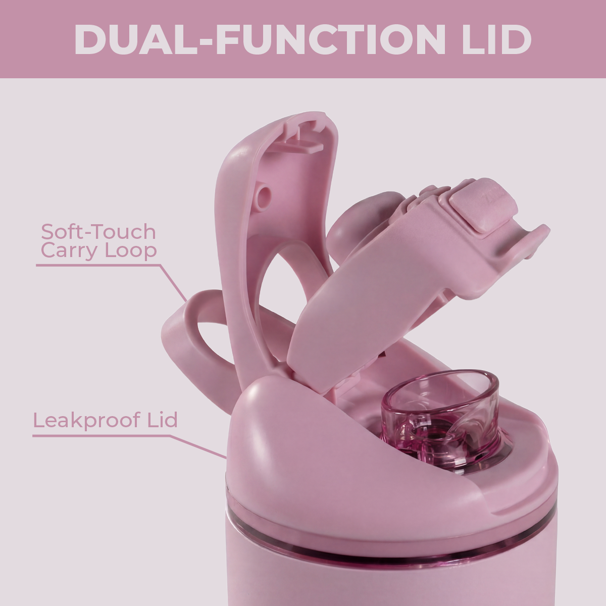 sweet-pea-v6 Ease24-Sweetpea-WPI-6.png