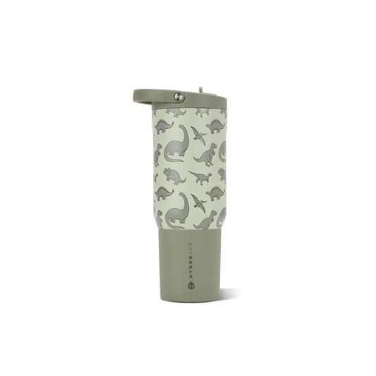 dinosaur-k6 Sport20-Dino-1-WPI.png